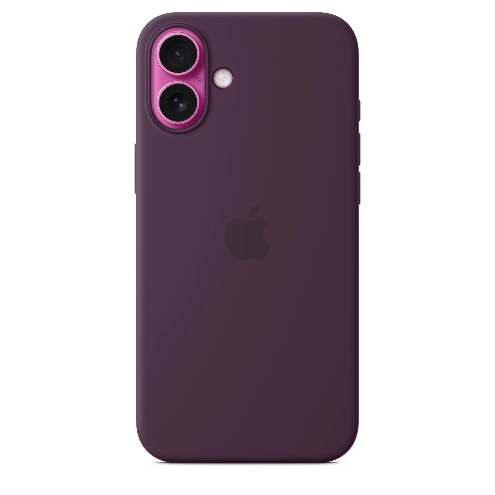 16 Plus Rojo Vino